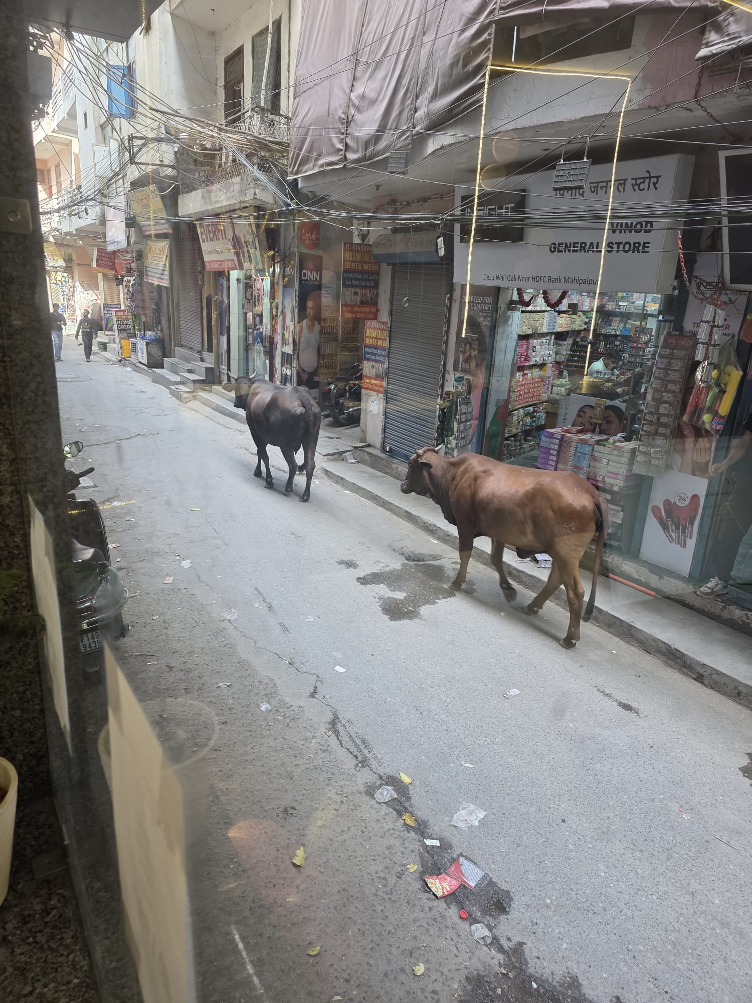 Street with small shops and cattle walking past in a neighbourhood near Delhi